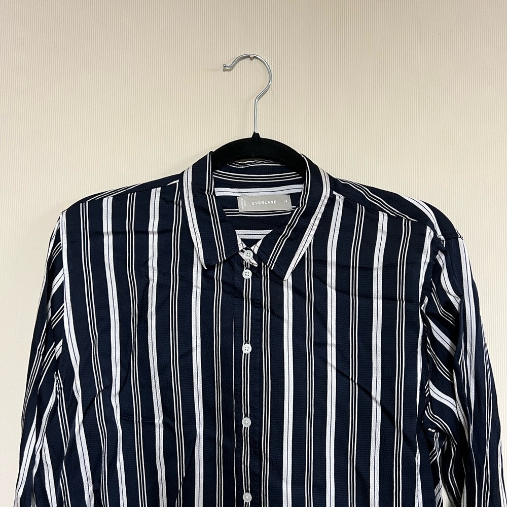 Everlane The Satin Relaxed Shirt